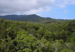 Kuranda : un village au cœur de la forêt tropicale